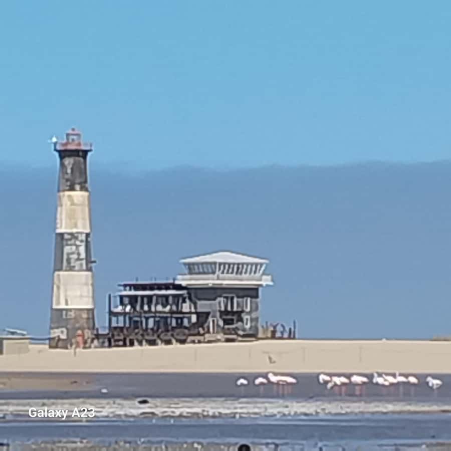 Catamaran Dolphin Cruise and Sandwich Harbour Tour - From Swakopmund to the Walvis Bay waterfront