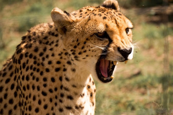 Discover the Routes of N/a’an ku sê. - Why N/a’an ku sê is different from a normal game drive