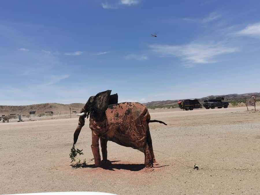 Elephant Adventure with Herson - a native of Damaraland - Tracking desert-adapted elephants