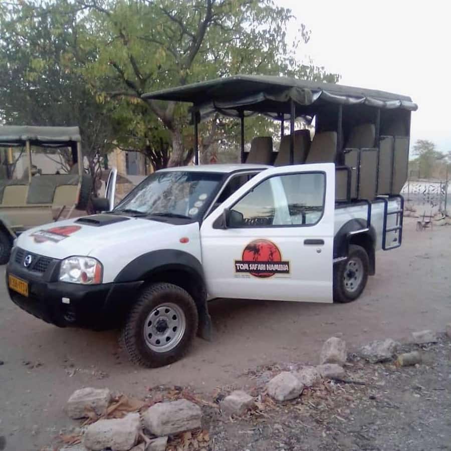 Etosha National Park: Full or Half-Day Game Drive - Why the first hours in Etosha matter