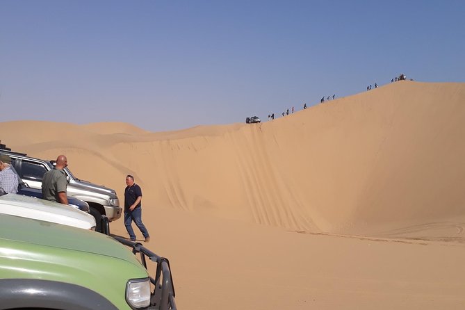 Exhilarating Sandwich Harbour 4x4: Guided Self drive experience - Lunch and the return to Walvis Bay