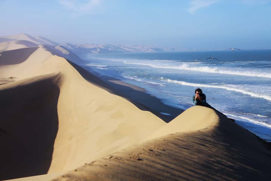 From Walvis Bay: Sandwich Harbor 4x4 Tour - Bird life and pink salt pans
