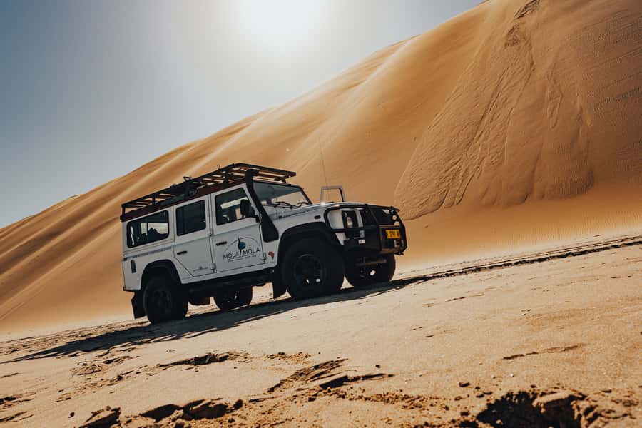 From Walvis Bay: Sandwich Harbor 4x4 Tour - Sandwich Harbor, where dunes meet the Atlantic