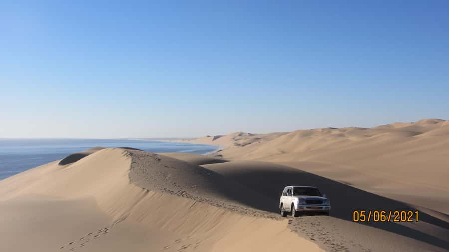 From Walvis Bay: Sandwich Harbour World Heritage Site - Wildlife on the drive back