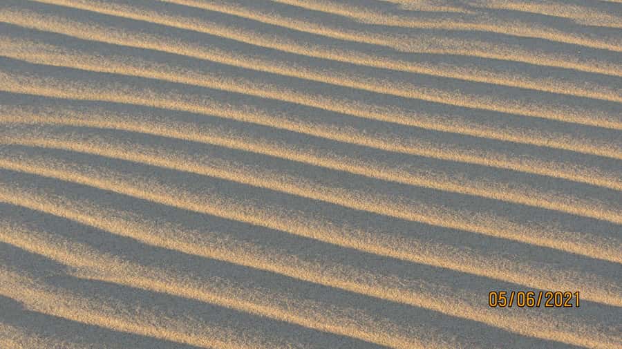 From Walvis Bay: Sandwich Harbour World Heritage Site - Practical preparation for the sand