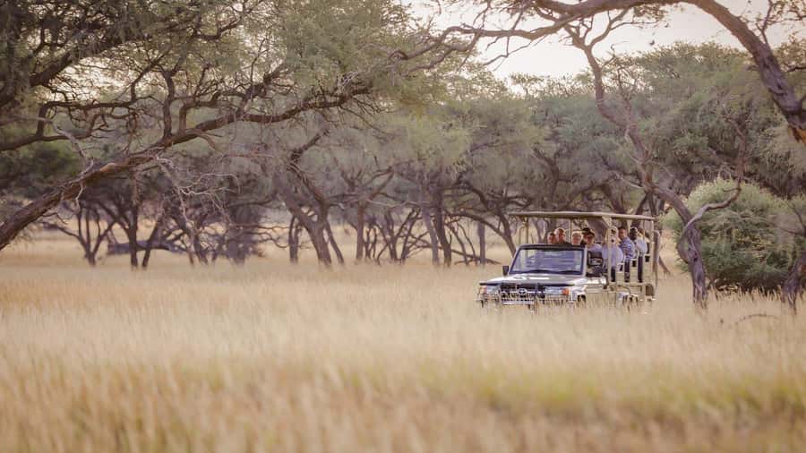 From Windhoek: Okapuka Safari Lodge Day Trip - A closer look at the five-hour schedule