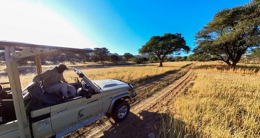 From Windhoek: Okapuka Safari Lodge Day Trip - Okapuka Ranch, green lawns and camel thorn trees