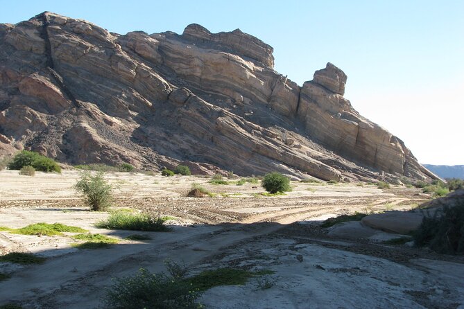 Full-Day Tour in Namib Desert from Swakopmund, Namibia - Is $125.31 good value?