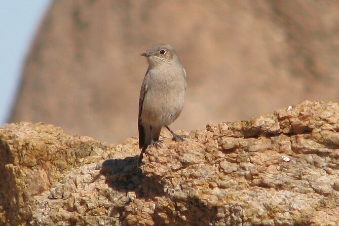 Full-Day Tour in Namib Desert from Swakopmund, Namibia - The moonscape and the value of a slower stop