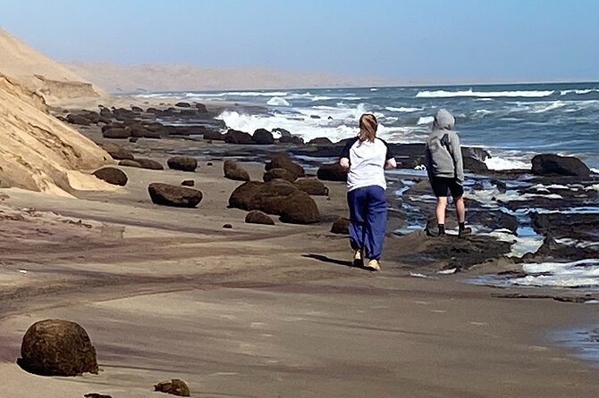 Full Day Tour Shipwreck Sandwich Harbour Adventure - Guide quality and the size of the group
