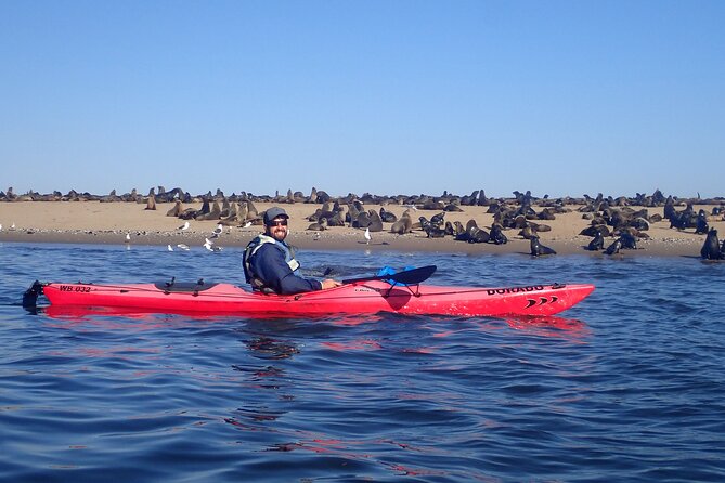 Half Day Original Seal Kayak Adventure, Pelican Point, Walvis Bay - Is $72.12 a fair price?