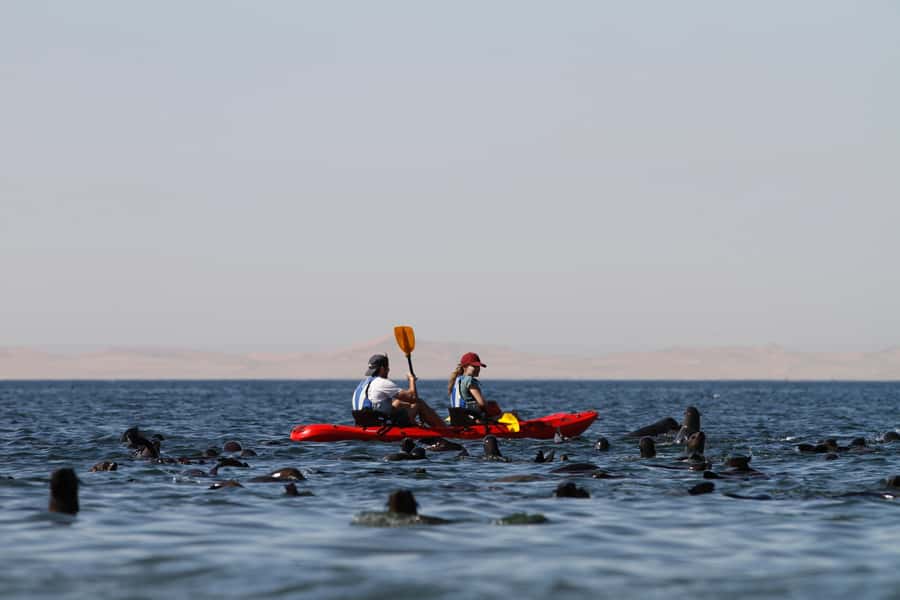 Kayak Dune Day - Key points to know before booking