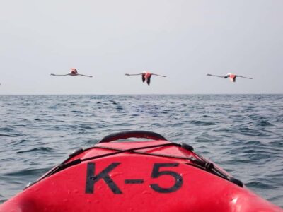 Kayak Dune Day