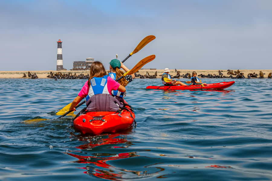 Kayak Dune Day - A picnic lunch with sparkling wine