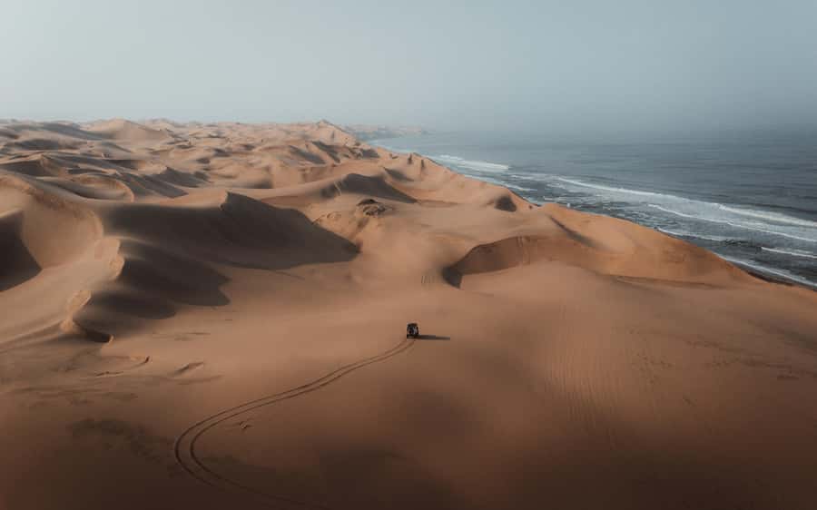Kayak Dune Day - What the $389 price includes