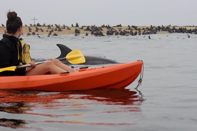 Kayaking and Sandwich Habour Guided Day Tour from Walvis Bay - Waterproof gear and small comforts that matter