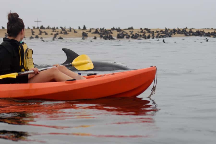 Kayaking and Sandwich Harbour Combo Tour - 07:45 at the Walvis Bay Angling Club