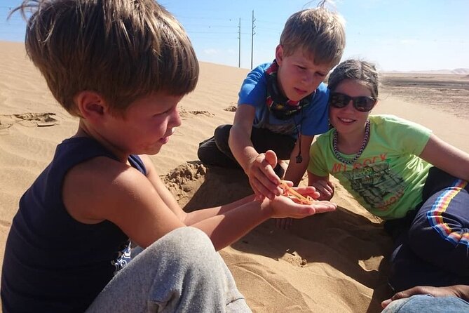 LIVING DESERT TOUR (Little 5 tour) - Passing Dune 7 on the way to Walvis Bay