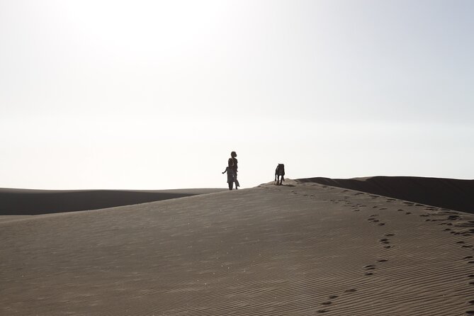 LIVING DESERT TOUR (Little 5 tour) - Flamingos and coastal birds at Walvis Bay