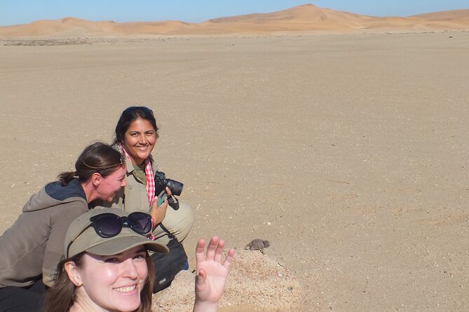 LIVING DESERT TOUR (Little 5 tour) - Finding snakes, beetles, lizards, spiders, and geckos