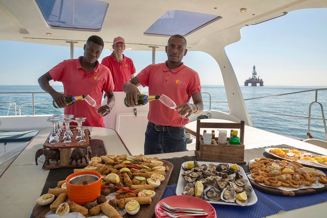 Marine Dolphin Seal Cruise - Why this Walvis Bay cruise feels different