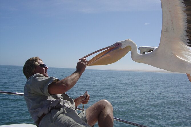 Marine Dune Day: Catamaran Cruise and Sandwich Harbor Dune Drive - The Lange Wand and the edge of the Atlantic