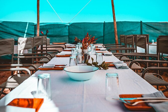 Mola Mola Day with Beach Braai Lunch - From Walvis Bay Waterfront to Pelican Point