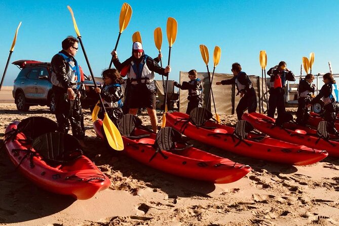 Mola Mola Kayaking Experience with a Licensed Guide - Why the seals make this Walvis Bay morning special