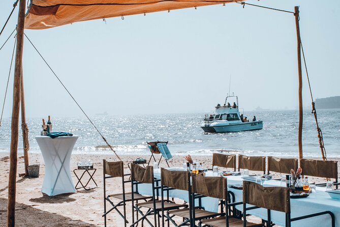 Mola Mola Marine Dolphin Cruise & Beach Braai on Pelican Point - Key points to know before you book