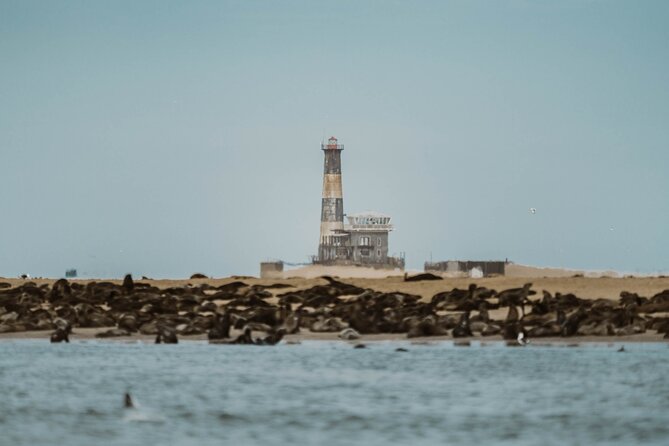 Mola Mola Marine Dolphin Cruise & Beach Braai on Pelican Point - The return cruise and the value of five hours