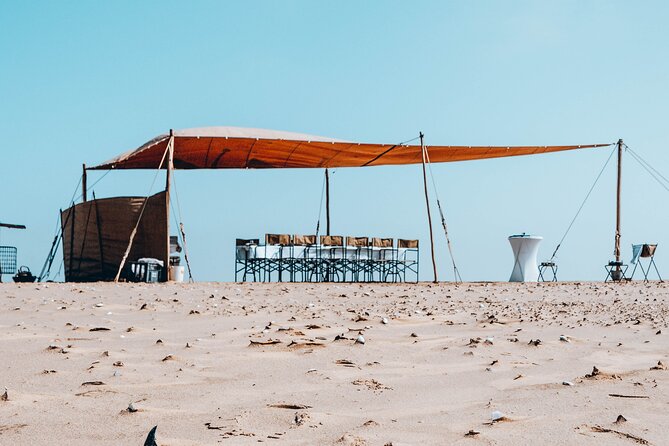 Mola Mola Marine Dolphin Cruise & Beach Braai on Pelican Point - Should you book the Mola Mola cruise?