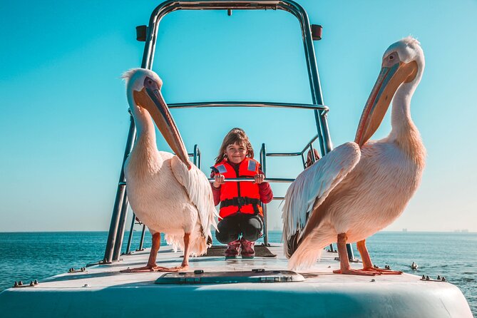 Mola Mola Marine Dolphin Cruise from the Walvis Bay Waterfront to Pelican Point - From Walvis Bay Waterfront to open water
