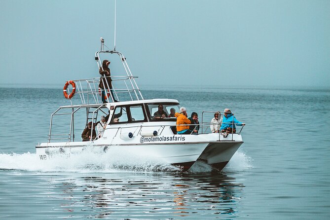 Mola Mola Marine Dolphin Cruise from the Walvis Bay Waterfront to Pelican Point - Why the food matters at sea