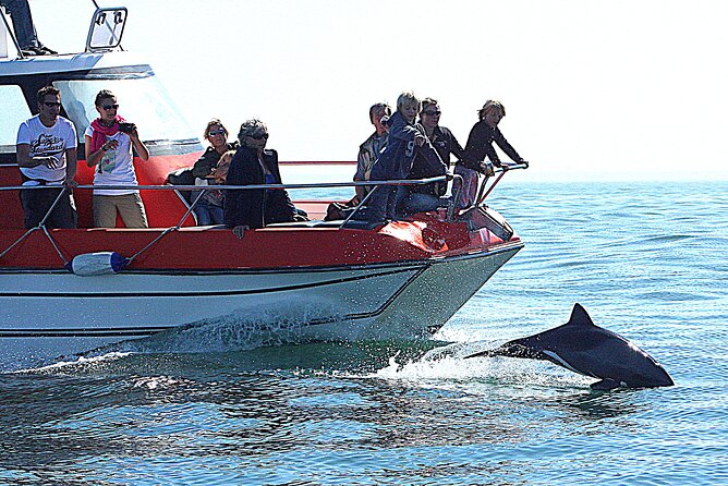 Mola Mola Marine Dolphin Cruise from the Walvis Bay Waterfront to Pelican Point - Who will enjoy this cruise most?