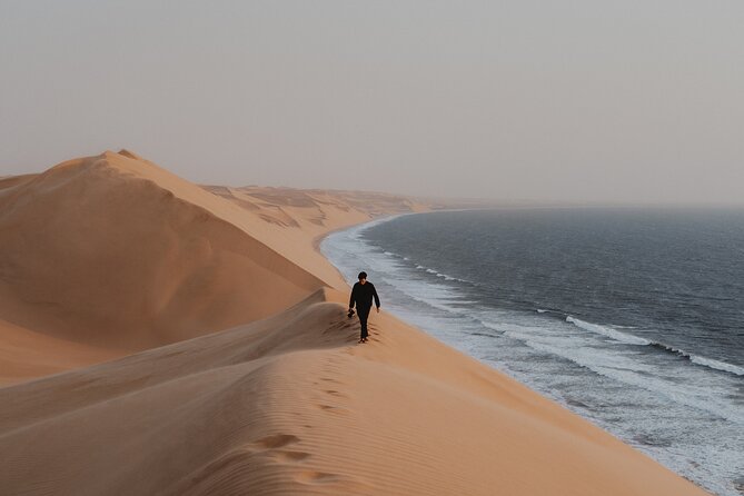 Mola Mola Marine Dune Experience - Oysters, snacks, and a welcome pause