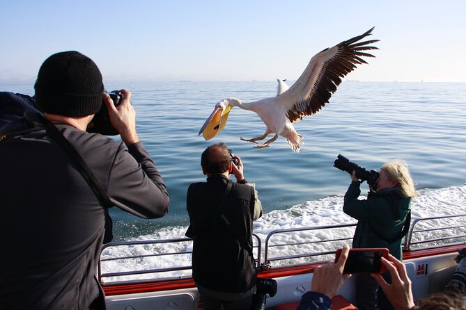 Mola Mola Marine Dune Experience - Is the $256.39 price fair?
