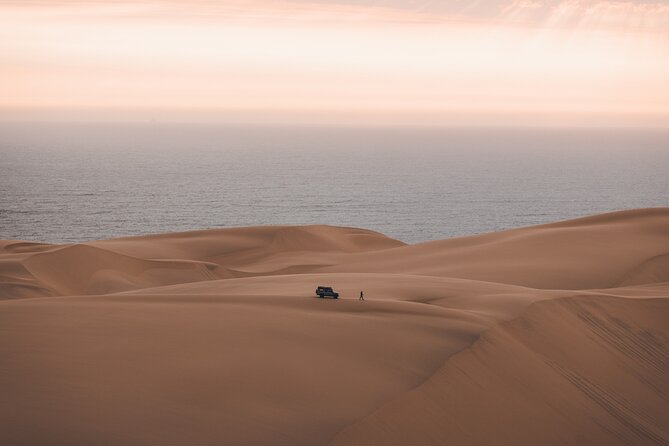 Mola Mola Marine Dune Experience - The morning cruise through the lagoon to Pelican Point