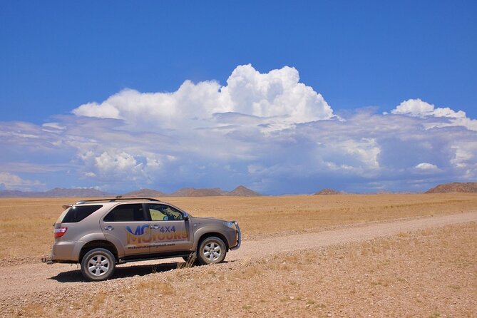 Namib Desert Landscape Tour - Key points at a glance