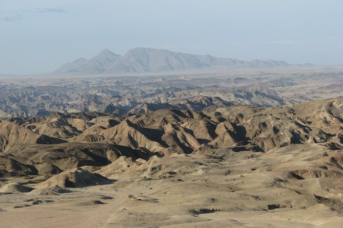 NAMIB DESERT TOURS, Full-Day and Half-Day Tours from Swakopmund, Namibia - Welwitschia, the tour’s botanical highlight