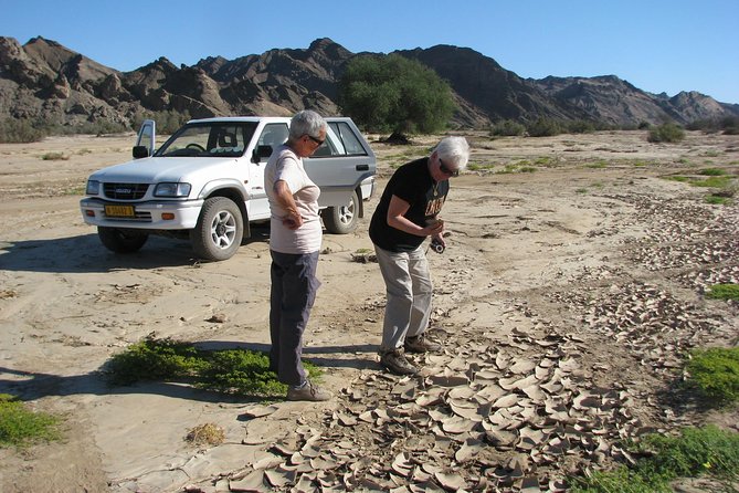 NAMIB DESERT TOURS, Full-Day and Half-Day Tours from Swakopmund, Namibia - Lunch beside the Swakop Valley