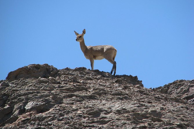 NAMIB DESERT TOURS, Full-Day and Half-Day Tours from Swakopmund, Namibia - Moon Valley from the viewpoint
