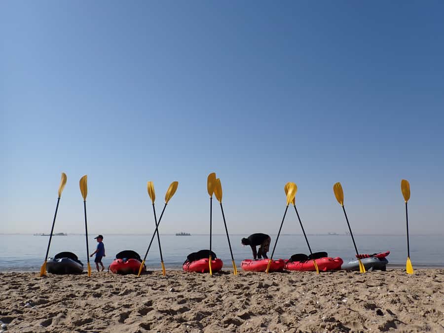 Pelican Point: Kayak with Seals Experience - Getting ready at the beach camp