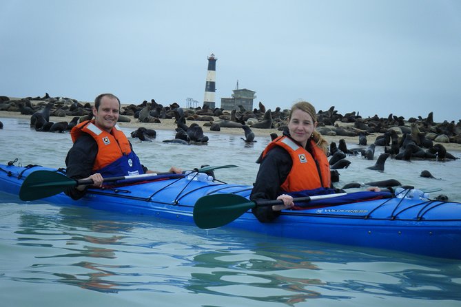 Pelican Point Kayaking Half-Day Tour - The 8:00 am start and meeting point