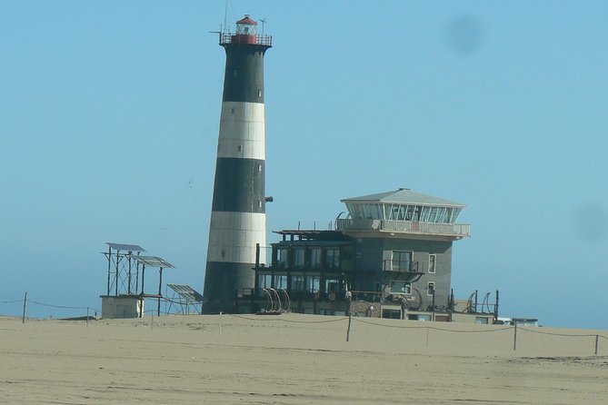 Pelican Point Peninsula Tour- visit the seal colony - Why Pelican Point makes a strong short tour