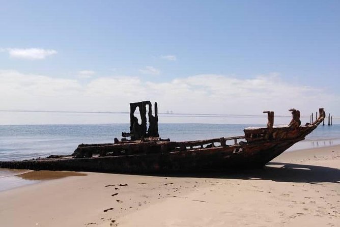 Pelican Point Seal Colony 4x4 Tour - Guides make the short tour work