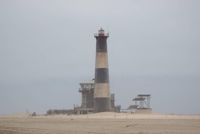 Pelican Point Seal Colony 4x4 Tour - Food, drinks, and the value of $85.42