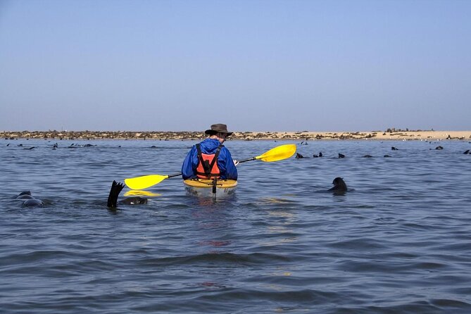 Pelican Point tours,Lagoon tours, Dune7 Adventure - Why this Walvis Bay combination works