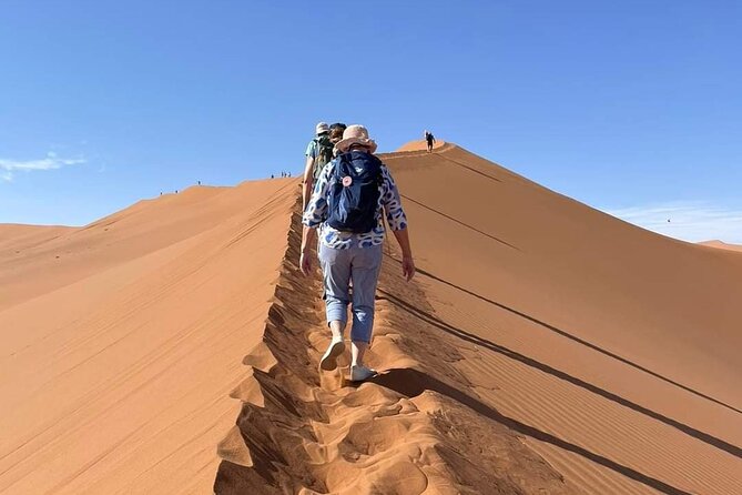 Pelican Point tours,Lagoon tours, Dune7 Adventure - Who will get the most from this tour