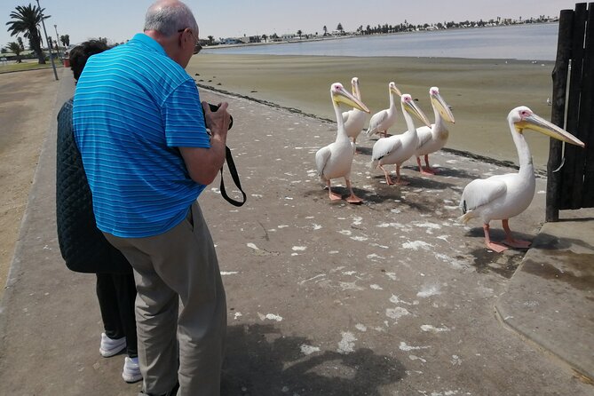 Pelican Point tours,Lagoon tours, Dune7 Adventure - Booking details and cancellation