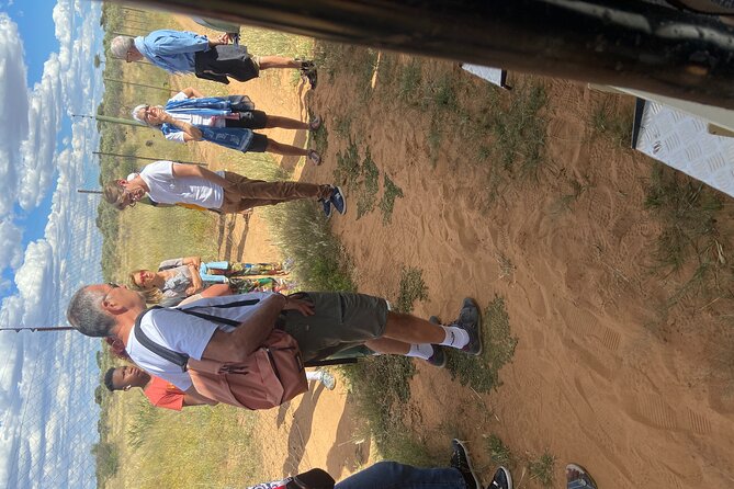 Predator Encounter: Half-Day Carnivore Feeding Windhoek - Watching the feeding from a safe position